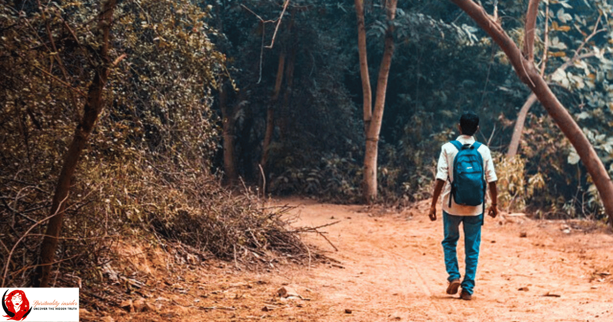 A person with a bag walking in a jungle 