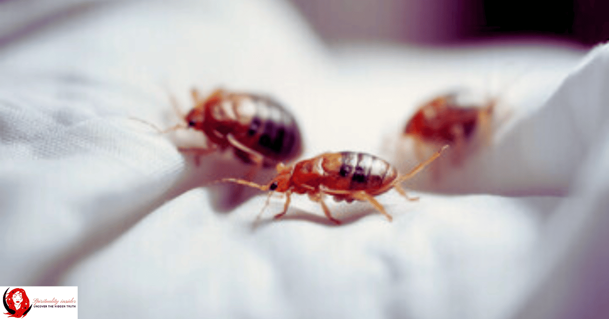 Bed Bugs crawling on a bed