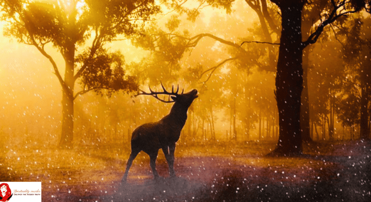 spiritual meaning of a deer in your path