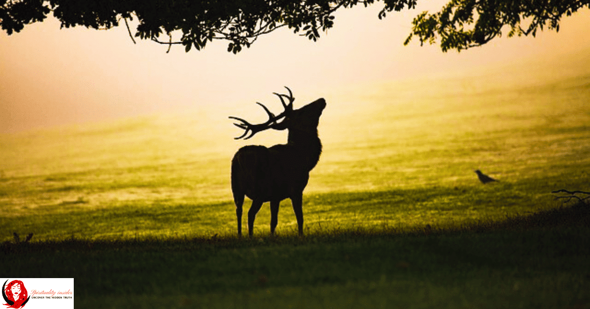 spiritual meaning of a deer in your path
