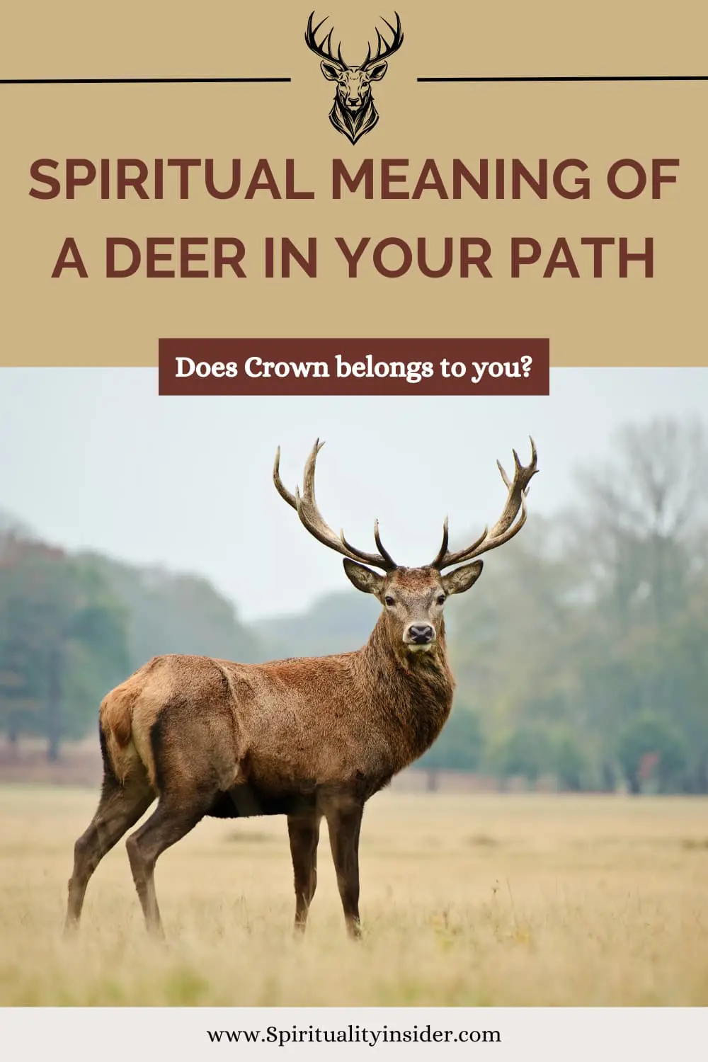 Spiritual meaning of a deer in your path