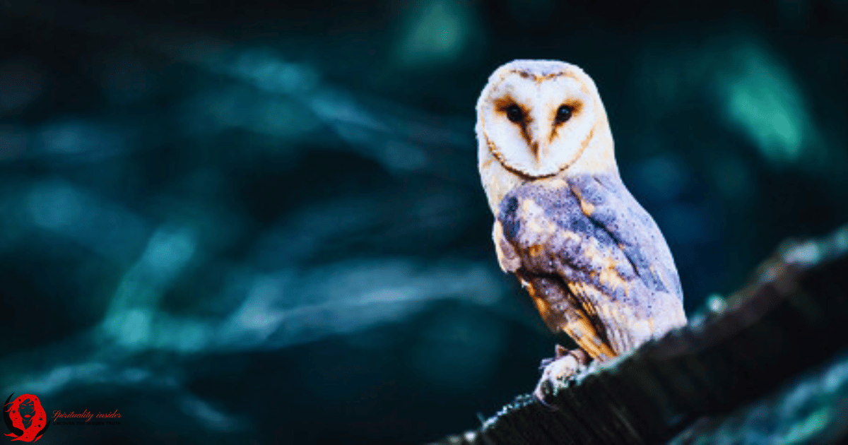 spiritual meaning of seeing an owl