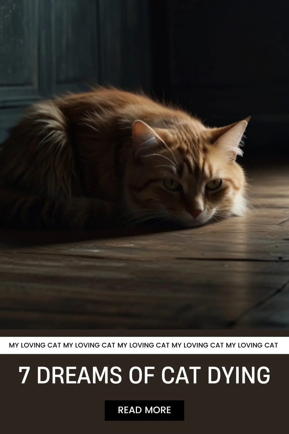 Dream of cat dying