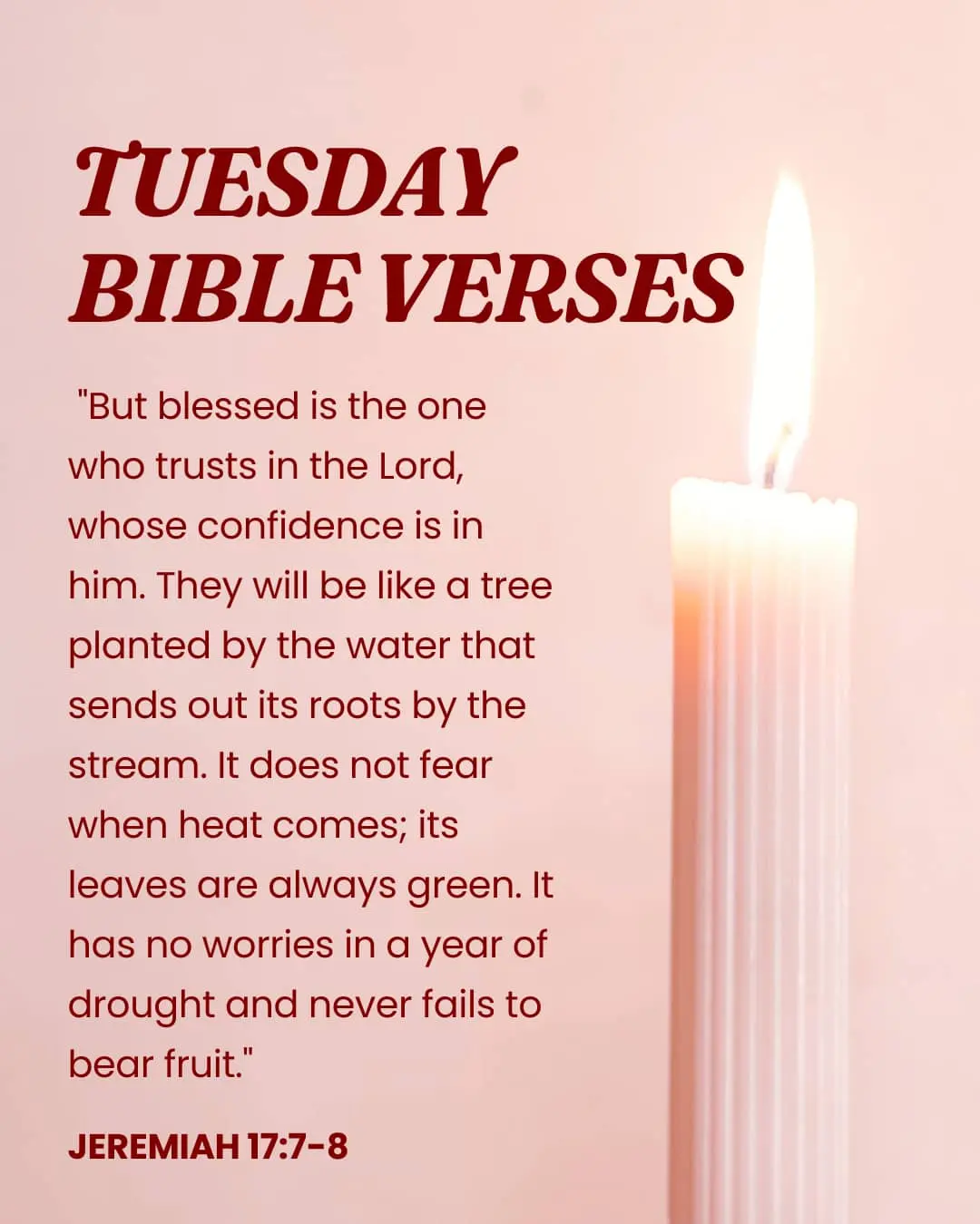 Tuesday Bible Verses