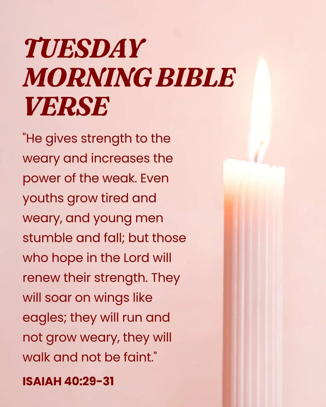 Tuesday Morning Bible Verse