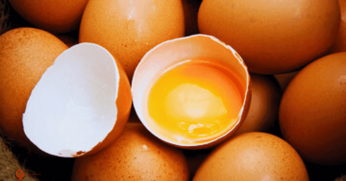 egg spiritual meaning