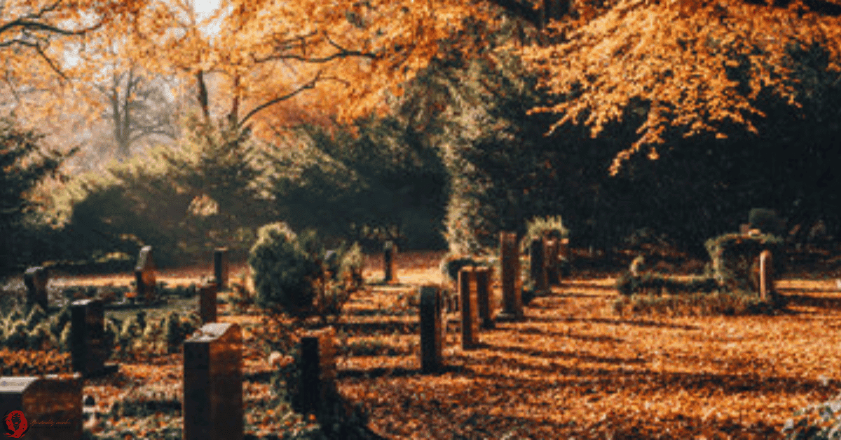 dream about driving through a cemetery