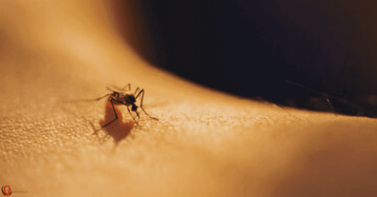spiritual meaning of a mosquito bites