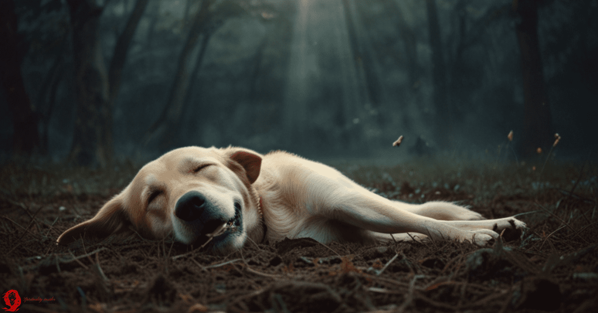 dreams about dog dying