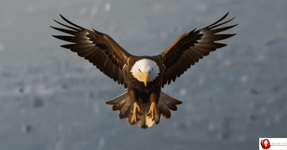 Spiritual meaning of an eagle flying over you