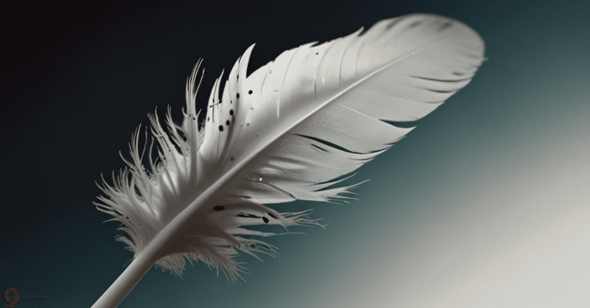 Small White Feather Meaning