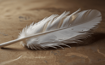 spiritual meaning of white feather