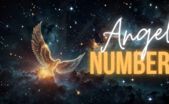 Angel Numbers