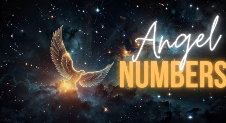 Angel Numbers